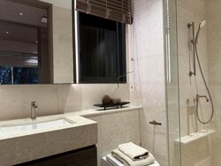 Orchard Boulevard (D10), Condominium #490497141